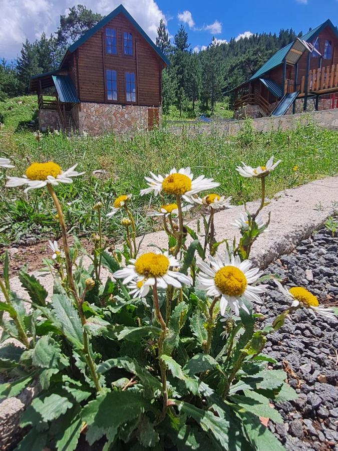 자블야크 Vikendice Itana 빌라 외부 사진